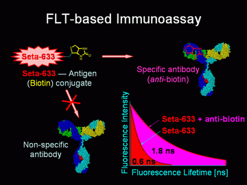 FLT-based Immunoassay with Seta-633 long-wavelength dye